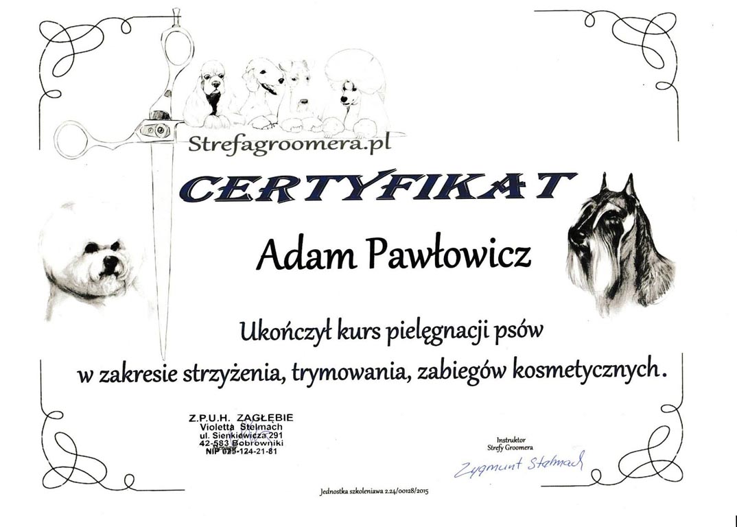 certyfikat groomera imperialgroom adam pawłowicz