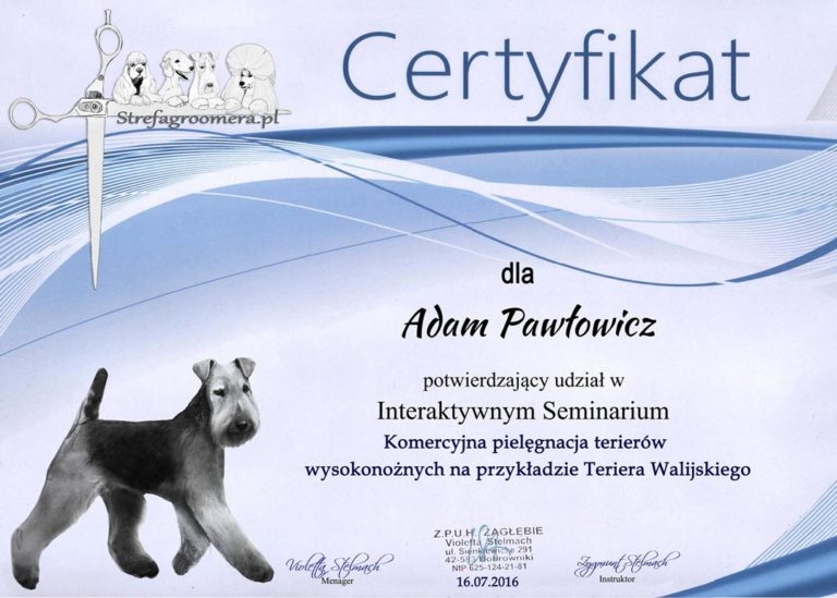 certyfikat groomera imperialgroom adam pawłowicz